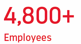 4,800+ Employees
