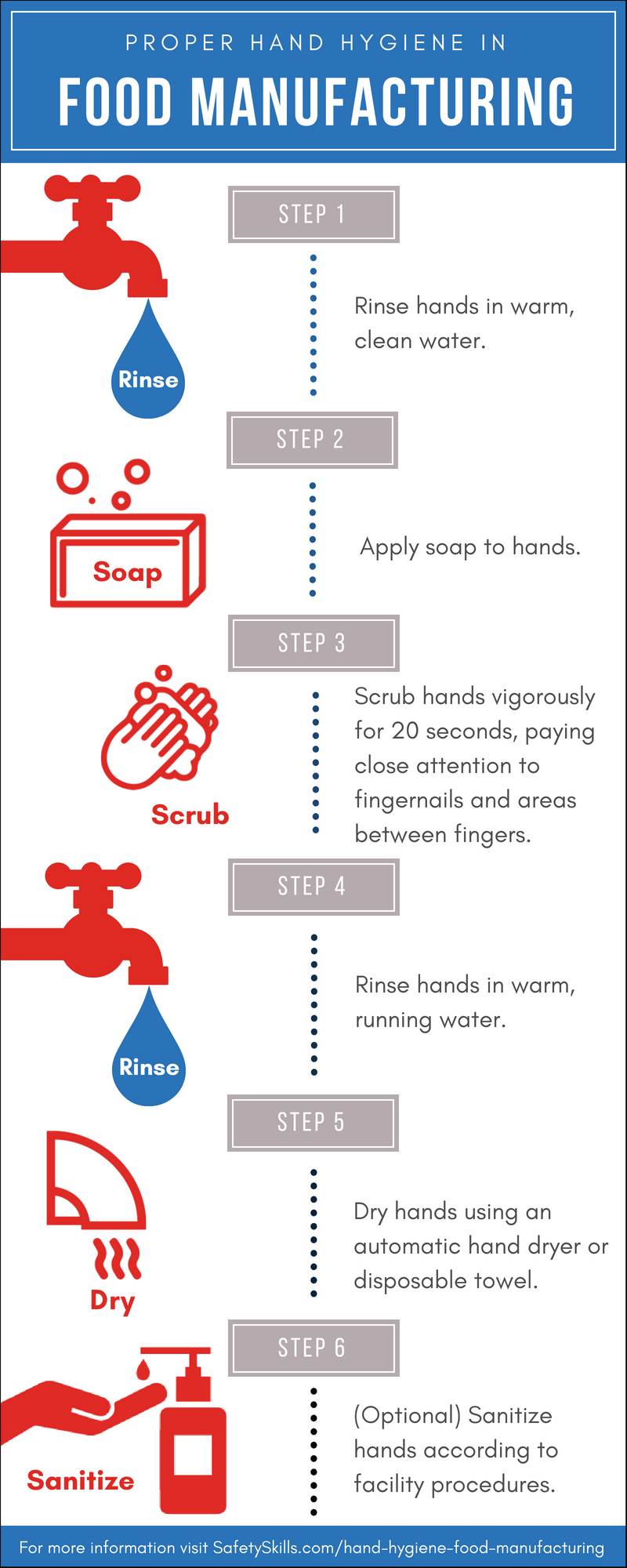 Proper Handwashing Infographic