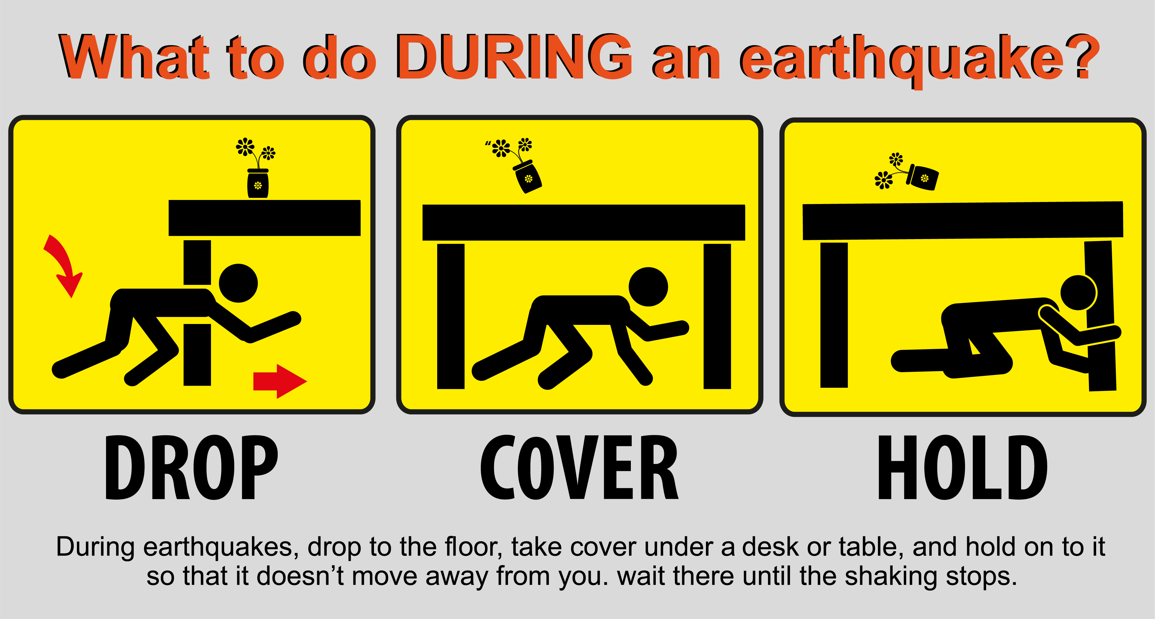 earthquake safety steps